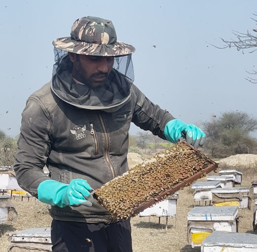 Premium Aliment India Honey